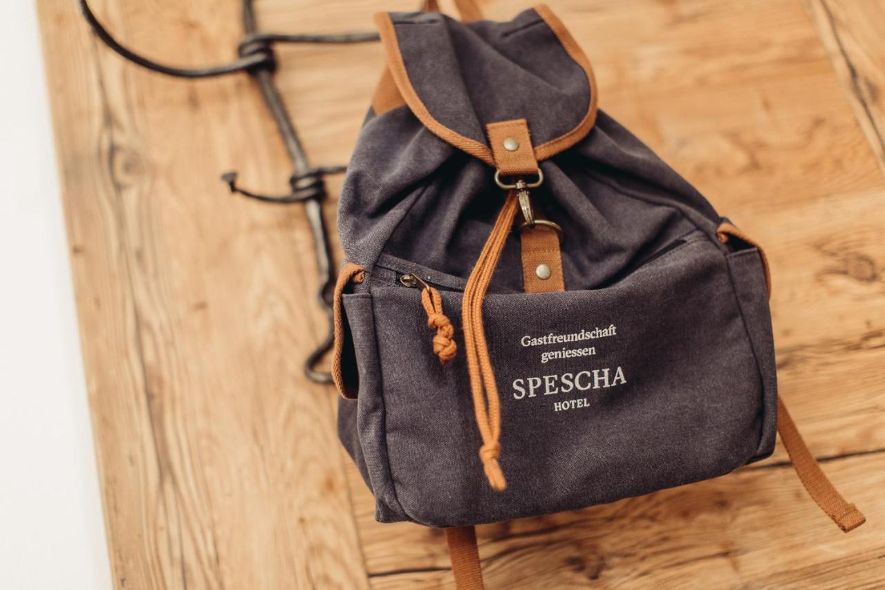 Hotel Spescha لينتسرهايدي المظهر الخارجي الصورة